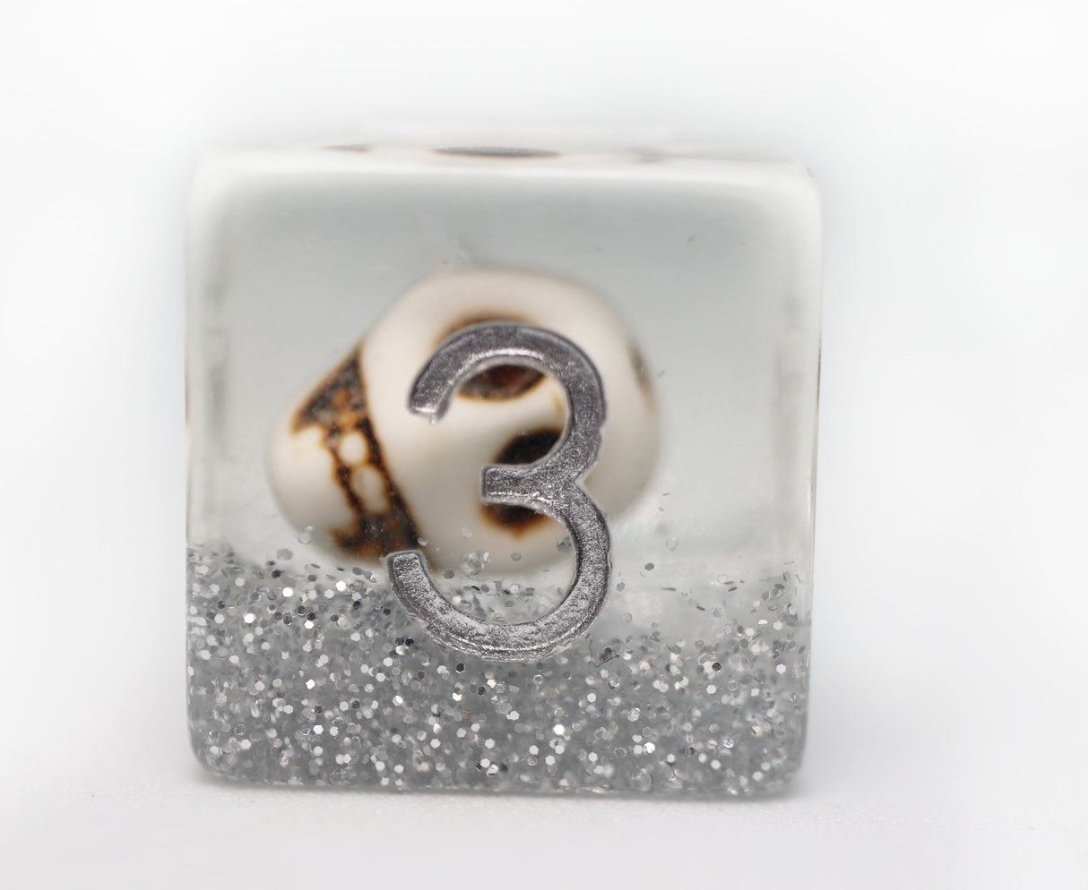 Skull and Silver Glitter RPG Dice Set Plastic Dice Foam Brain Games