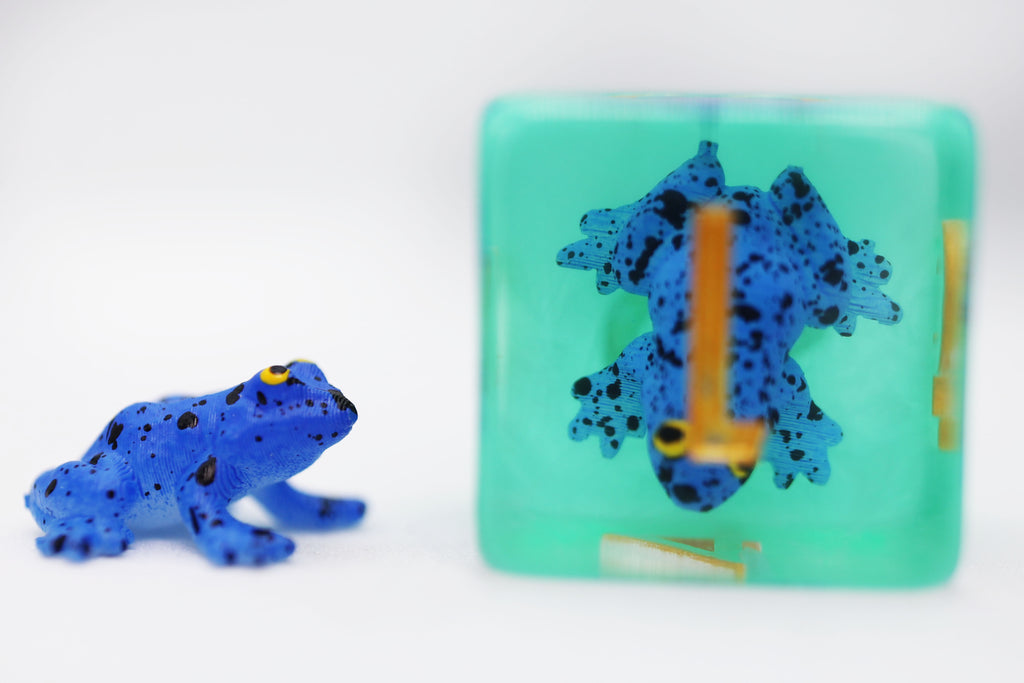 Dark Blue Frog RPG Dice Set Plastic Dice Foam Brain Games