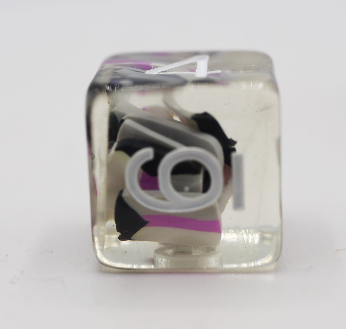 Pride Flag Single D6 Plastic Dice Foam Brain Games