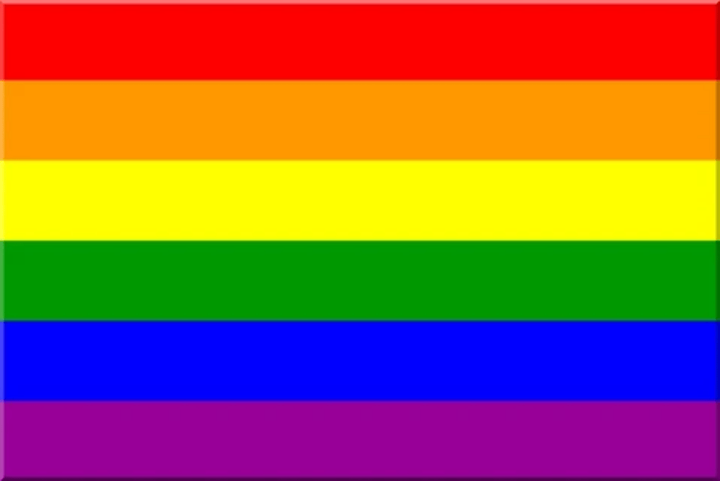 LGBTQ Rainbow Pride Flag 3'x5' with Grommets  Foam Brain Games