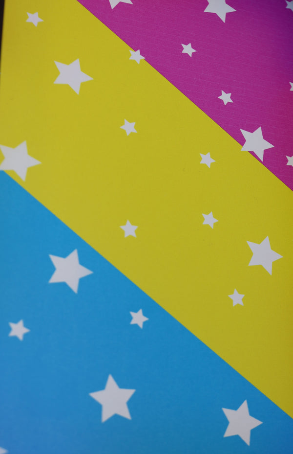 Chromatic Pride Dice Tray - Pansexual Dice Tray Foam Brain Games