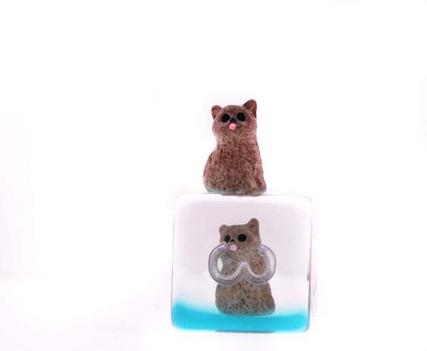 Soft Kitten RPG Dice Set Plastic Dice Foam Brain Games