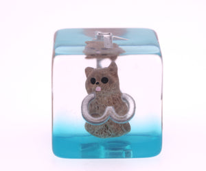 Soft Kitten RPG Dice Set Plastic Dice Foam Brain Games