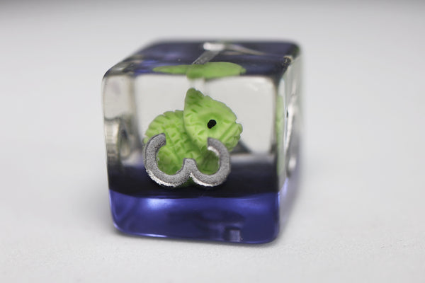 Colorful Chameleon RPG Dice Set Plastic Dice Foam Brain Games