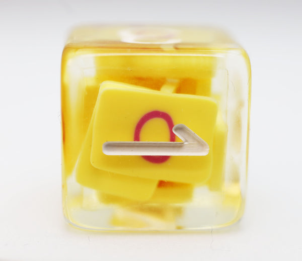 Pride Flag Single D6 Plastic Dice Foam Brain Games