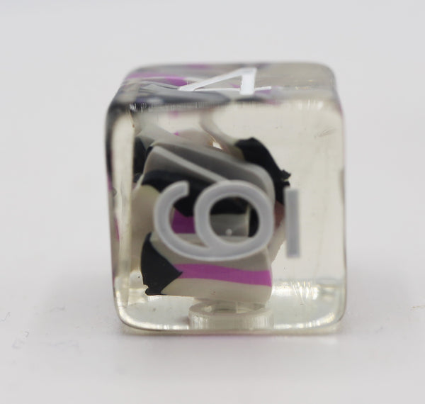 Pride Flag Single D6 Plastic Dice Foam Brain Games