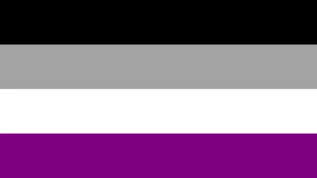 LGBTQ Asexual Pride Flag 3'x5' with Grommets  Foam Brain Games