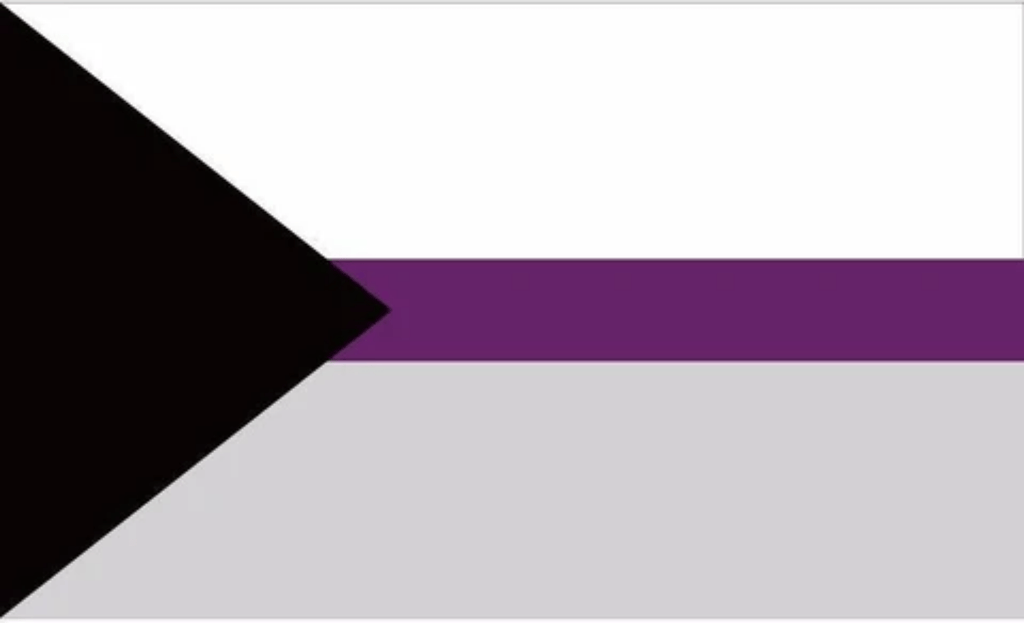 LGBTQ Demisexual Pride Flag 3'x5' with Grommets  Foam Brain Games