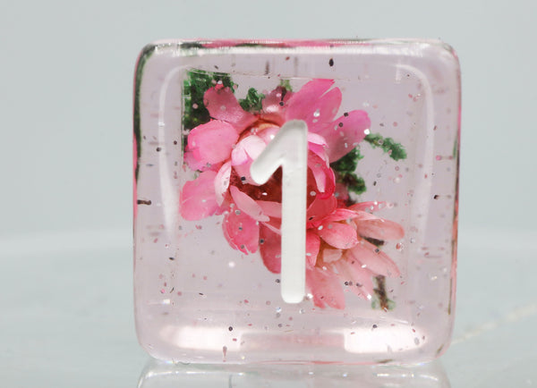 Carnation Love RPG Dice Set Plastic Dice Foam Brain Games