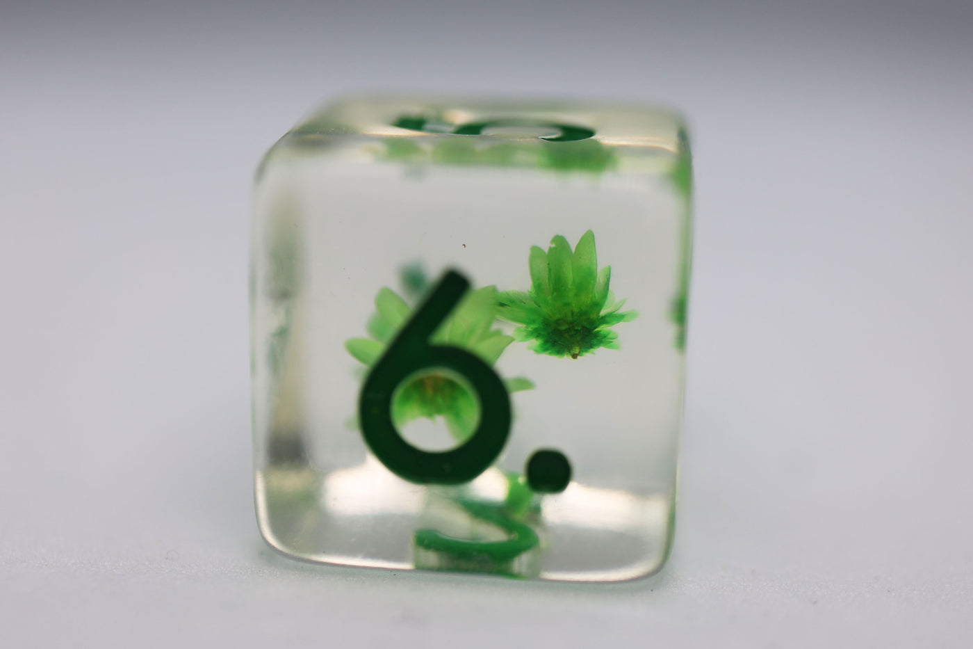 Green Daisy RPG Dice Set Plastic Dice Foam Brain Games