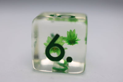 Green Daisy RPG Dice Set Plastic Dice Foam Brain Games