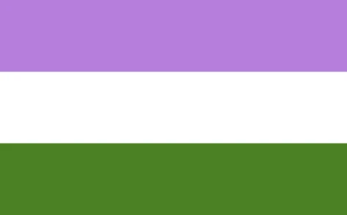LGBTQ Genderqueer Pride Flag 3'x5' with Grommets  Foam Brain Games