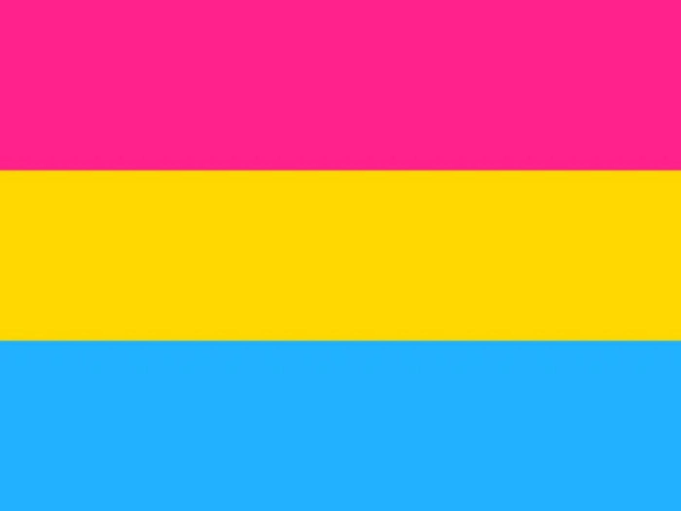 LGBTQ Pansexual Pride Flag 3'x5' with Grommets  Foam Brain Games