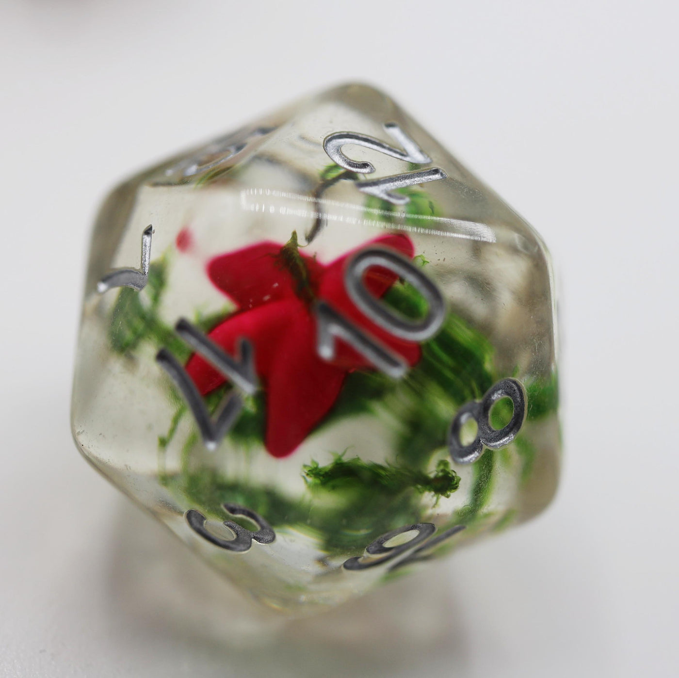 Pink Starfish and Seaweed RPG Dice Plastic Dice Foam Brain Games